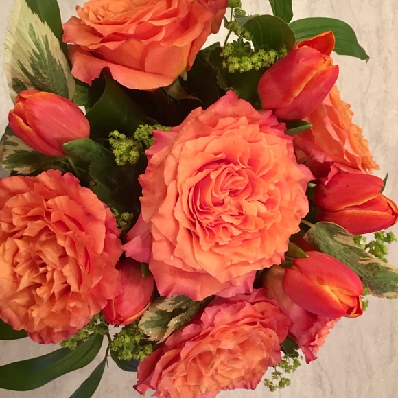 Hello From Posh Ambassador II DK & Team - Picture 2 of 10